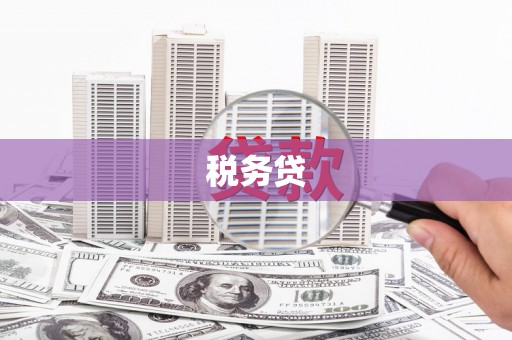 绿园税务贷