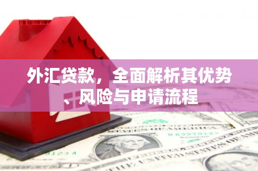 绿园外汇贷款，全面解析其优势、风险与申请流程