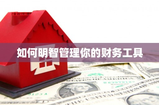 绿园如何明智管理你的财务工具