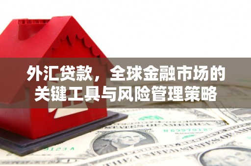 绿园外汇贷款，全球金融市场的关键工具与风险管理策略