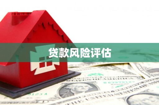 绿园贷款风险评估