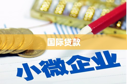 绿园国际贷款