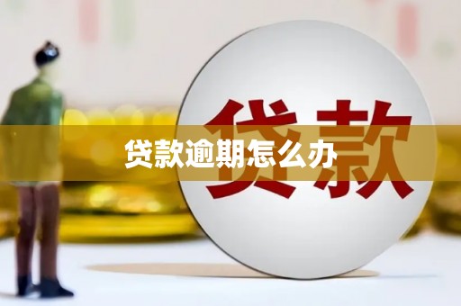 绿园贷款逾期怎么办