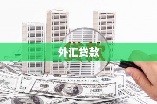 绿园外汇贷款