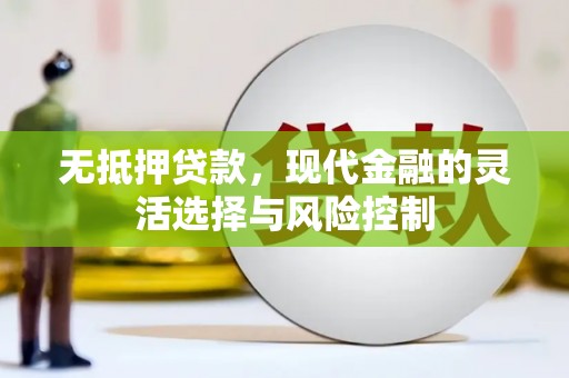 绿园无抵押贷款，现代金融的灵活选择与风险控制