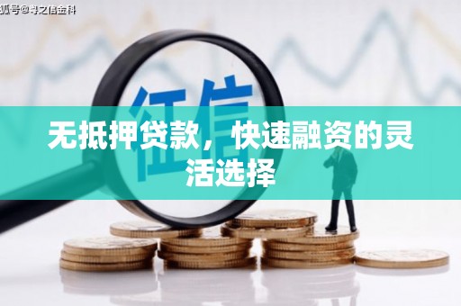 绿园无抵押贷款，快速融资的灵活选择