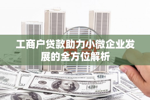 绿园工商户贷款助力小微企业发展的全方位解析
