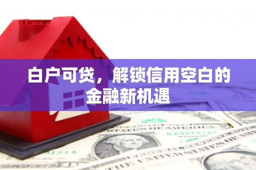 绿园白户可贷，解锁信用空白的金融新机遇