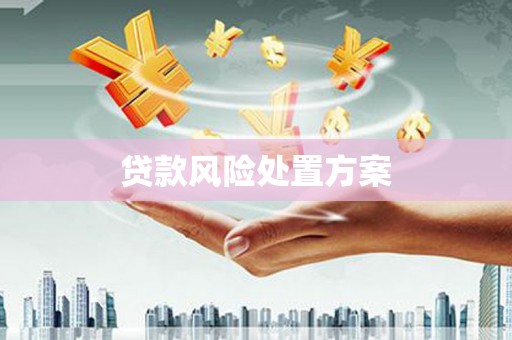 绿园贷款风险处置方案