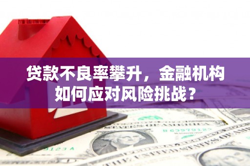 绿园贷款不良率攀升，金融机构如何应对风险挑战？