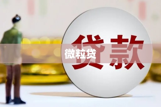 绿园微粒贷