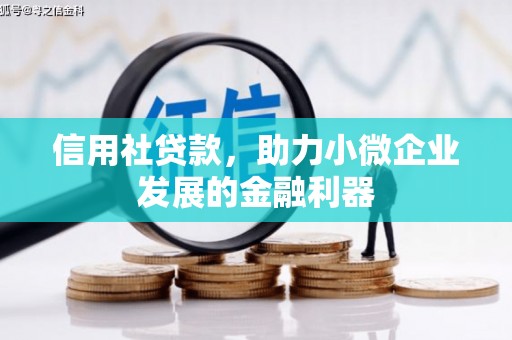 绿园信用社贷款，助力小微企业发展的金融利器