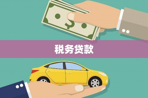 绿园税务贷款