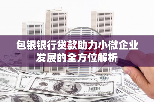 绿园包银银行贷款助力小微企业发展的全方位解析