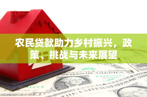 绿园农民贷款助力乡村振兴，政策、挑战与未来展望