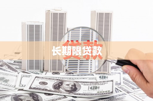 绿园长期限贷款