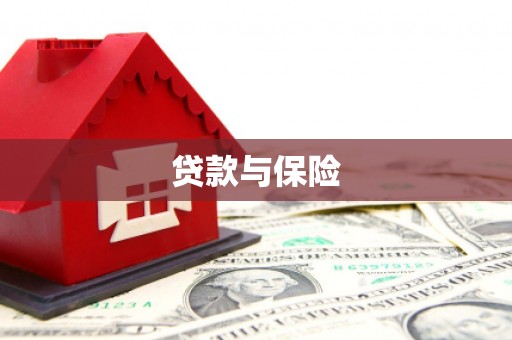 绿园贷款与保险