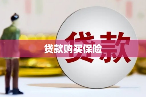 绿园贷款购买保险