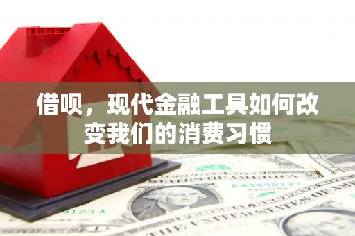 绿园借呗，现代金融工具如何改变我们的消费习惯
