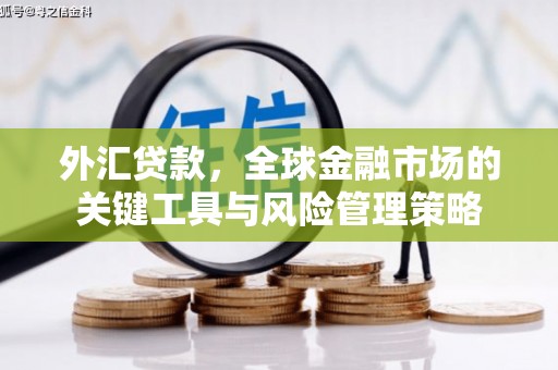 绿园外汇贷款，全球金融市场的关键工具与风险管理策略