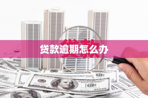 绿园贷款逾期怎么办