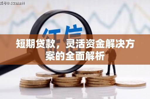 绿园短期贷款，灵活资金解决方案的全面解析