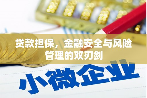 绿园贷款担保，金融安全与风险管理的双刃剑