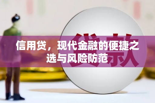 绿园信用贷，现代金融的便捷之选与风险防范
