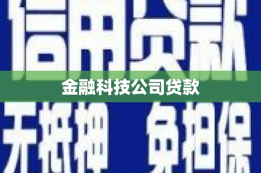 绿园金融科技公司贷款