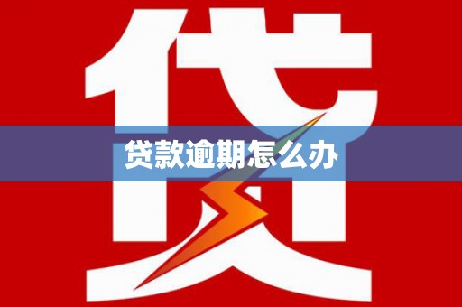 绿园贷款逾期怎么办