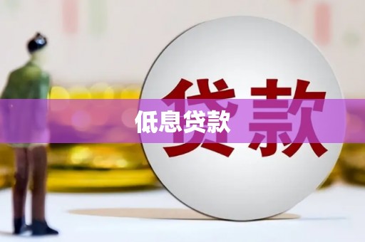 绿园低息贷款