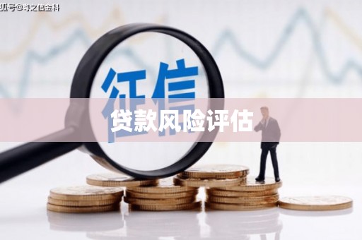 绿园贷款风险评估