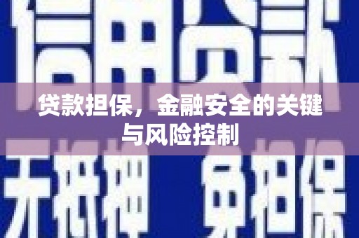 绿园贷款担保，金融安全的关键与风险控制