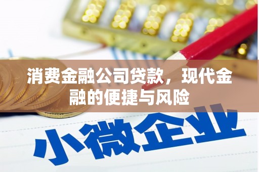绿园消费金融公司贷款，现代金融的便捷与风险
