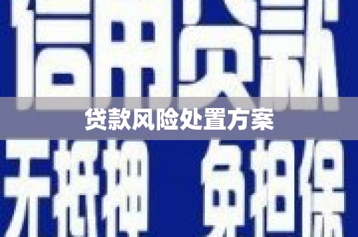 绿园贷款风险处置方案