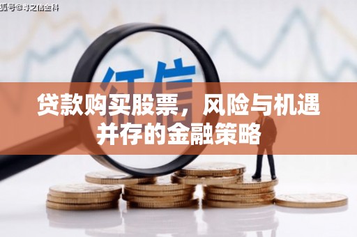 绿园贷款购买股票，风险与机遇并存的金融策略