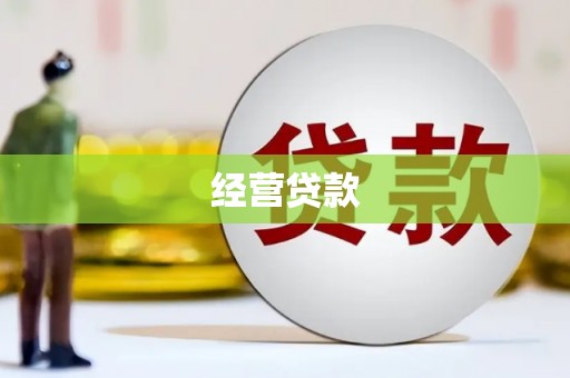 绿园经营贷款
