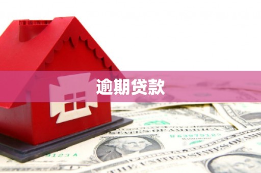 绿园逾期贷款